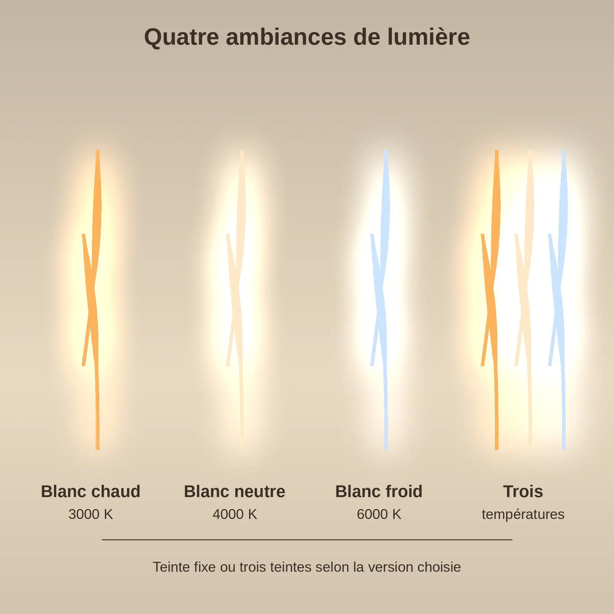 Les quatre températures de lumière de la grande applique murale en cristal | Delvanie