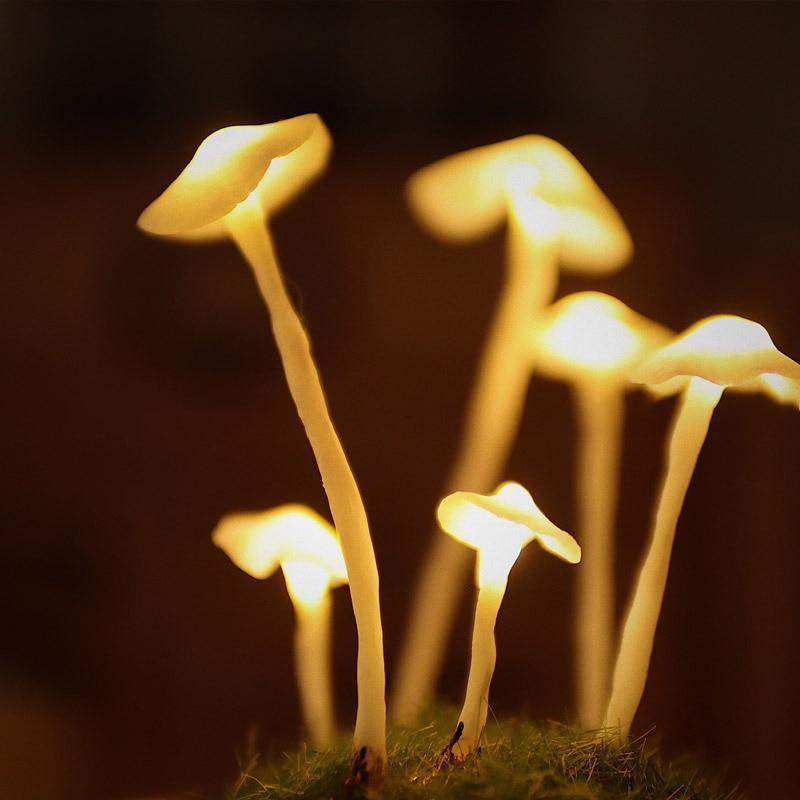 Lampe Champignon - Forêt Enchantée | Mycelya -  |   Delvanie