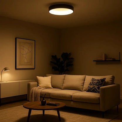 Luminaire Plafonnier - Design Épuré | Luminix -  |   Delvanie