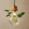 Suspension Luminaire Lampe - Flore Éclairée | Botanica -  |   Delvanie