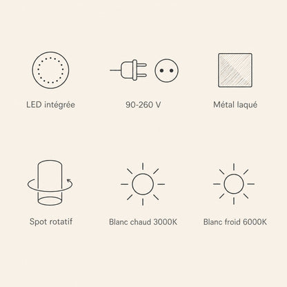 Caractéristiques de l'applique murale spot, LED intégrée, 90-260 V, métal laqué | Delvanie